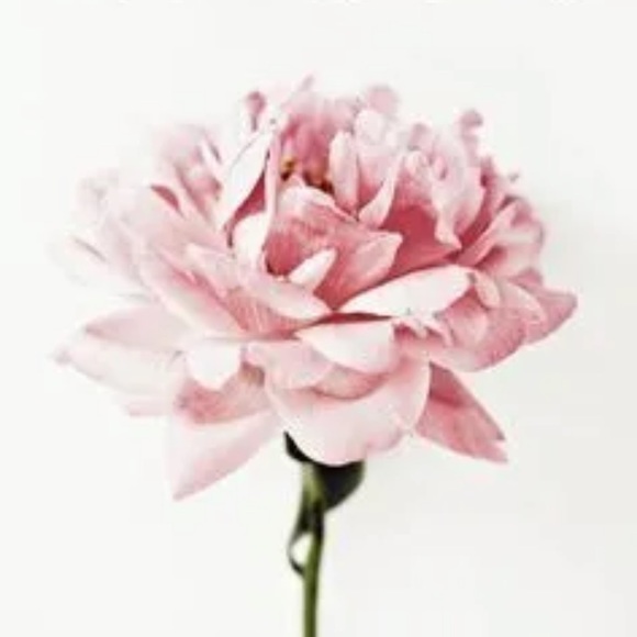 Meet your Posher, M - Picture 1 of 1